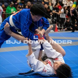NSWBJJF - Winter Cup 2023 - WINTER CUP BJJ-36.jpg - BjjDownUnder