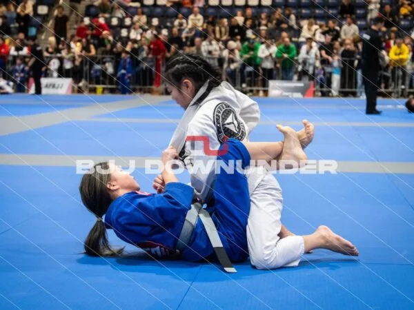 NSWBJJF - Winter Cup 2023 - WINTER CUP BJJ-2.jpg - BjjDownUnder