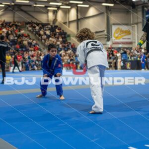 NSWBJJF - Summer Cup 2023 - DSC_4348.jpg - BjjDownUnder