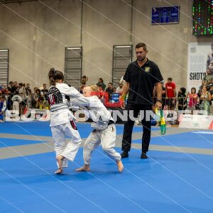 NSWBJJF - Summer Cup 2023 - DSC_4212.jpg - BjjDownUnder