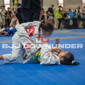 NSWBJJF - Summer Cup 2023 - DSC_4586.jpg - BjjDownUnder